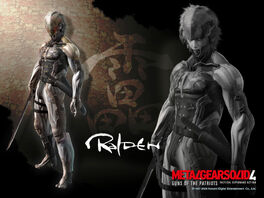 Raiden ninja.jpg