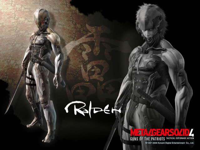 Datei:Raiden ninja.jpg