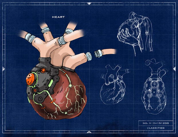 File:Heart.jpg