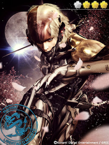 File:MRRaiden.jpg