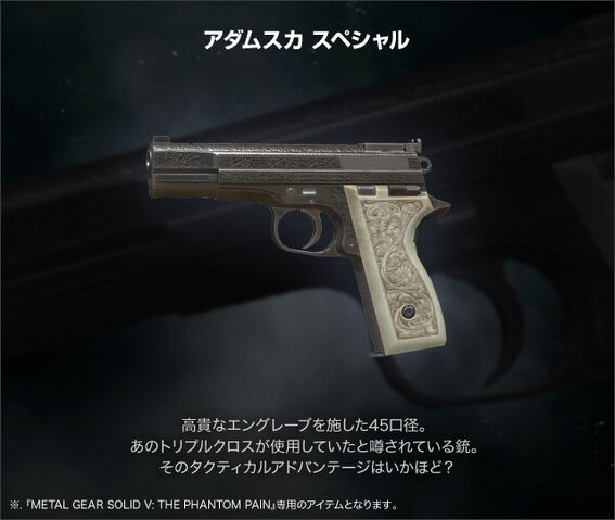 File:Gun adamska.jpg