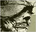 Skowronski