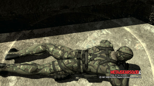 File:Woodlandmgs4.jpg