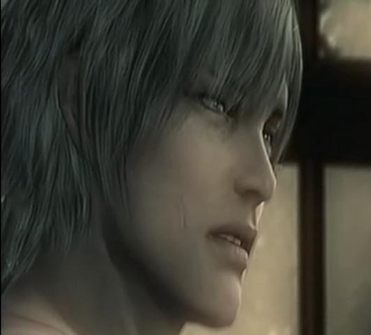 File:RaidenMGS4Ending.png