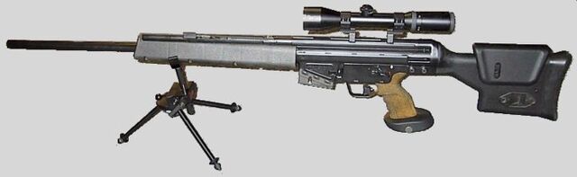 File:Hk psg1 l.jpg