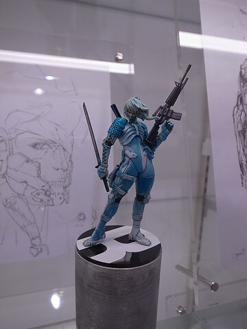 File:RaidenModel.jpg