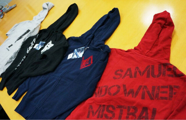 File:Metal-Gear-Rising-Hoodie.jpg