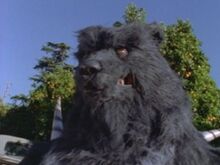 Terror Bear