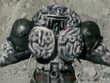 Cranoid