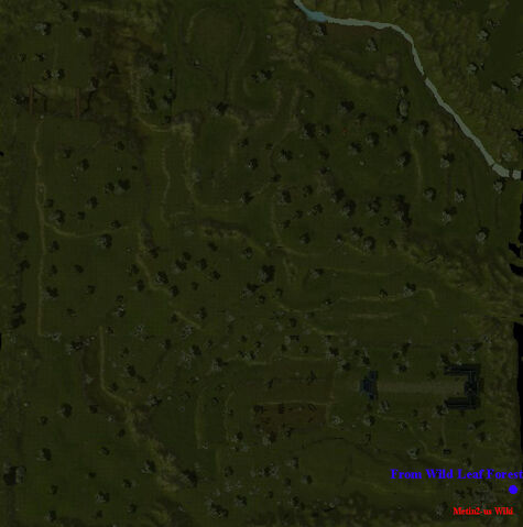File:DWLF.jpg