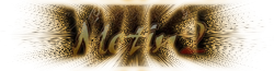 File:Testbanner.png