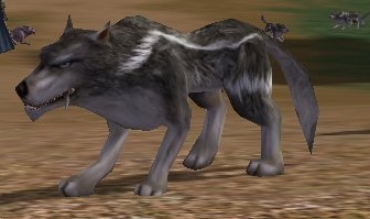 Lupo.jpg