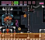 Madre Cerebro.jpg