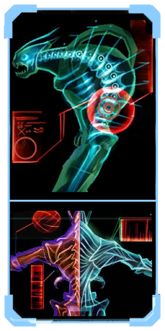 File:Pirate injuries scanpic.png