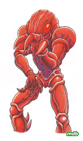 Datei:Torizo.jpg