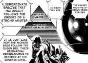 BrainPirates.png