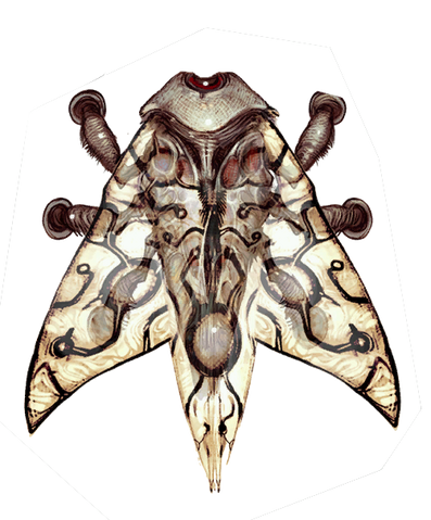 File:Echoes bugs copy.png