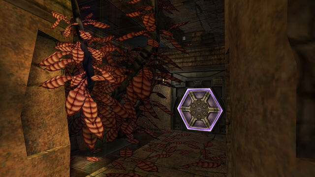 File:TrainingChamberAccess.jpg