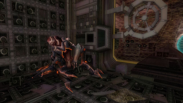 File:Dead Pirate Trooper.jpg