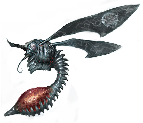 File:Chykka adult.png