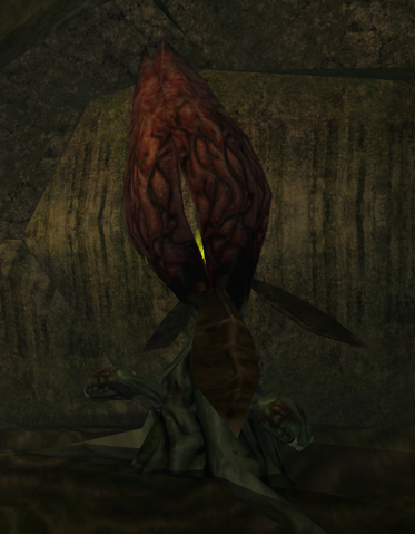 File:Bloodlower crop.png