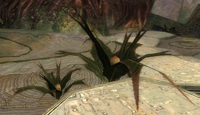 File:Spaikk bush.png