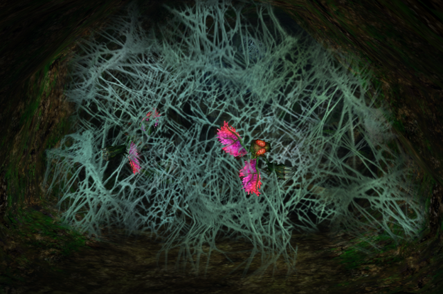 File:Trapped Reos.png