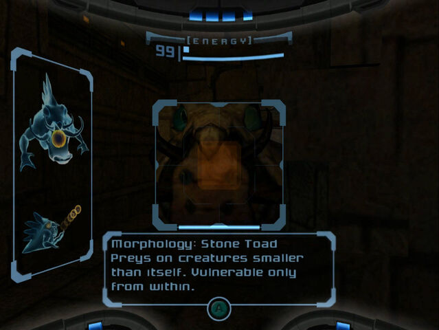 File:Stone Toad scan images Dolphin HD.jpg