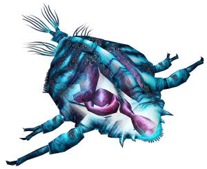 Leviathan Infant CMDL