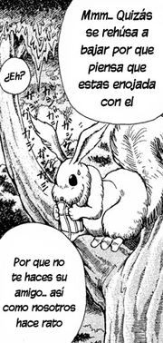 Ponchi.png