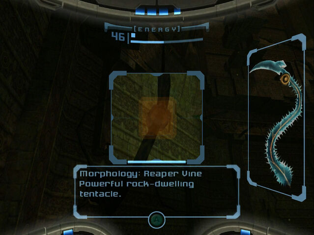 File:Reaper Vine Scan Images Dolphin HD.jpg