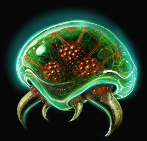 File:A-metroid.jpg