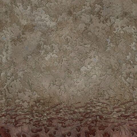 File:SHELL WALL.jpg