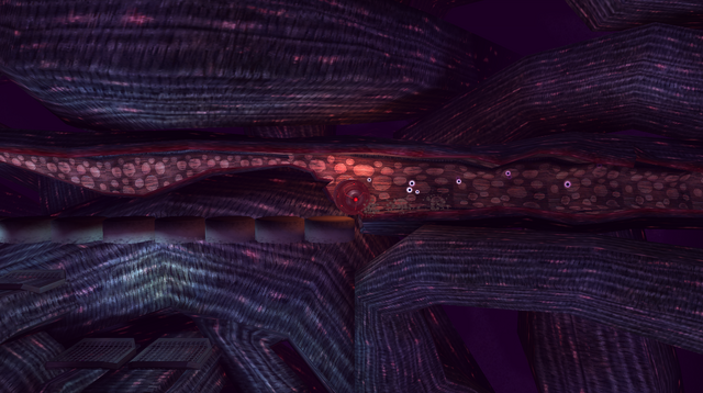 File:Dark Arena Tunnel.png