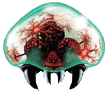 Metroid estándar.png