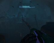 Gravity Chamber