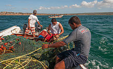 Pescadores.jpg