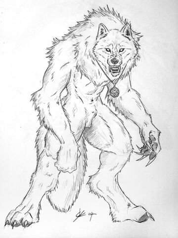 File:Jerrin The white warrior by BLACK WOLF .jpg