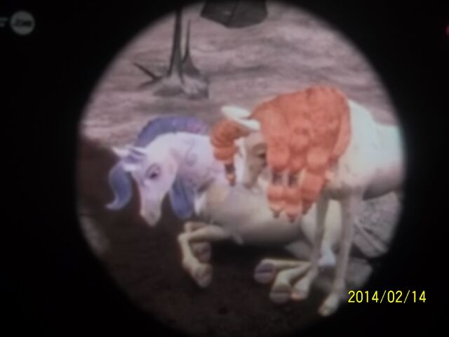Plik:100 1584.jpg