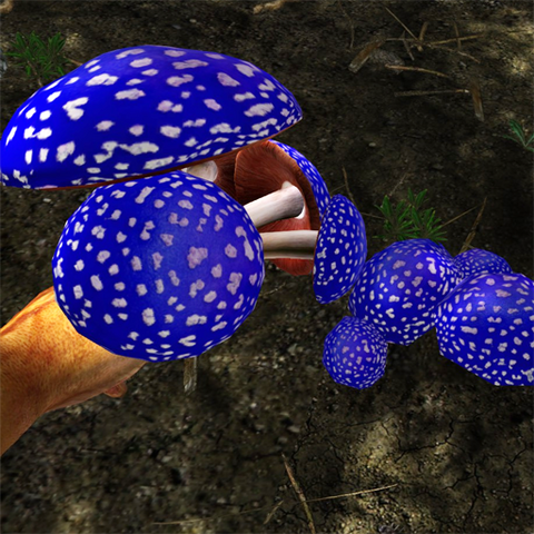 File:Blue-capped toadstool.png