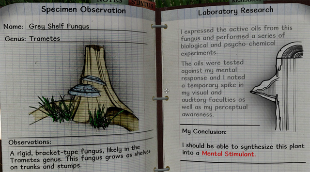 File:Grey shelf fungus notes.png