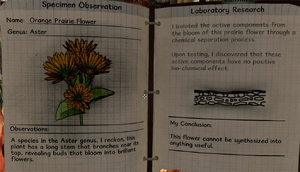 Orange prairie flower notes