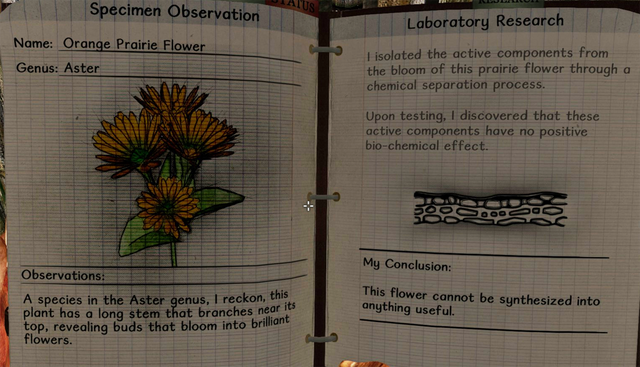File:Orange prairie flower notes.png