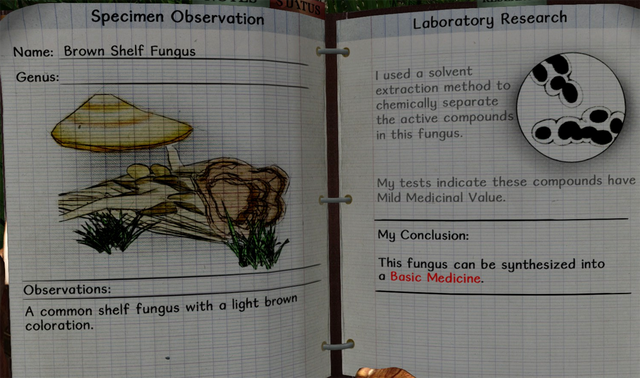 File:Brown shelf fungus notes.png
