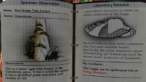 Red-green tree fungus notes