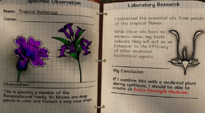 Tropical buttercup notes