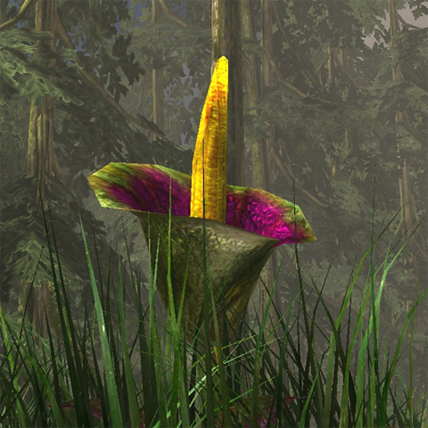 File:Titan plant.png