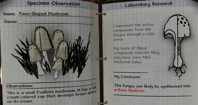 File:Pawn-shaped mushroom notes.png