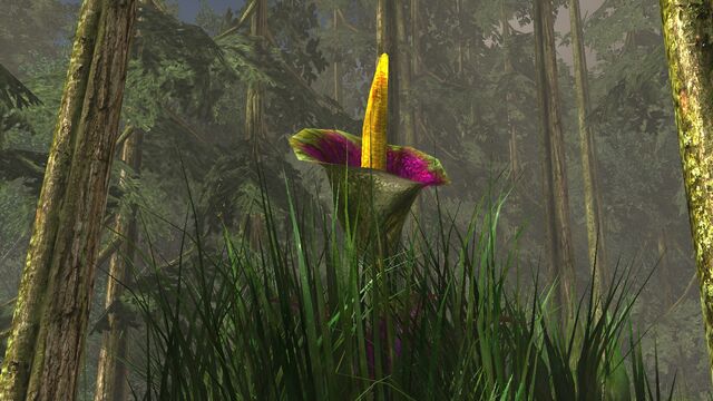 File:Titan plant.jpg