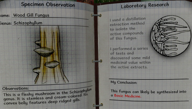 File:Wood gill fungus notes.png